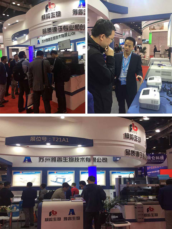 av成人app永久免费