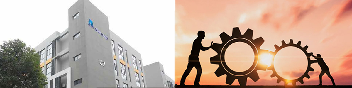 av成人app永久免费