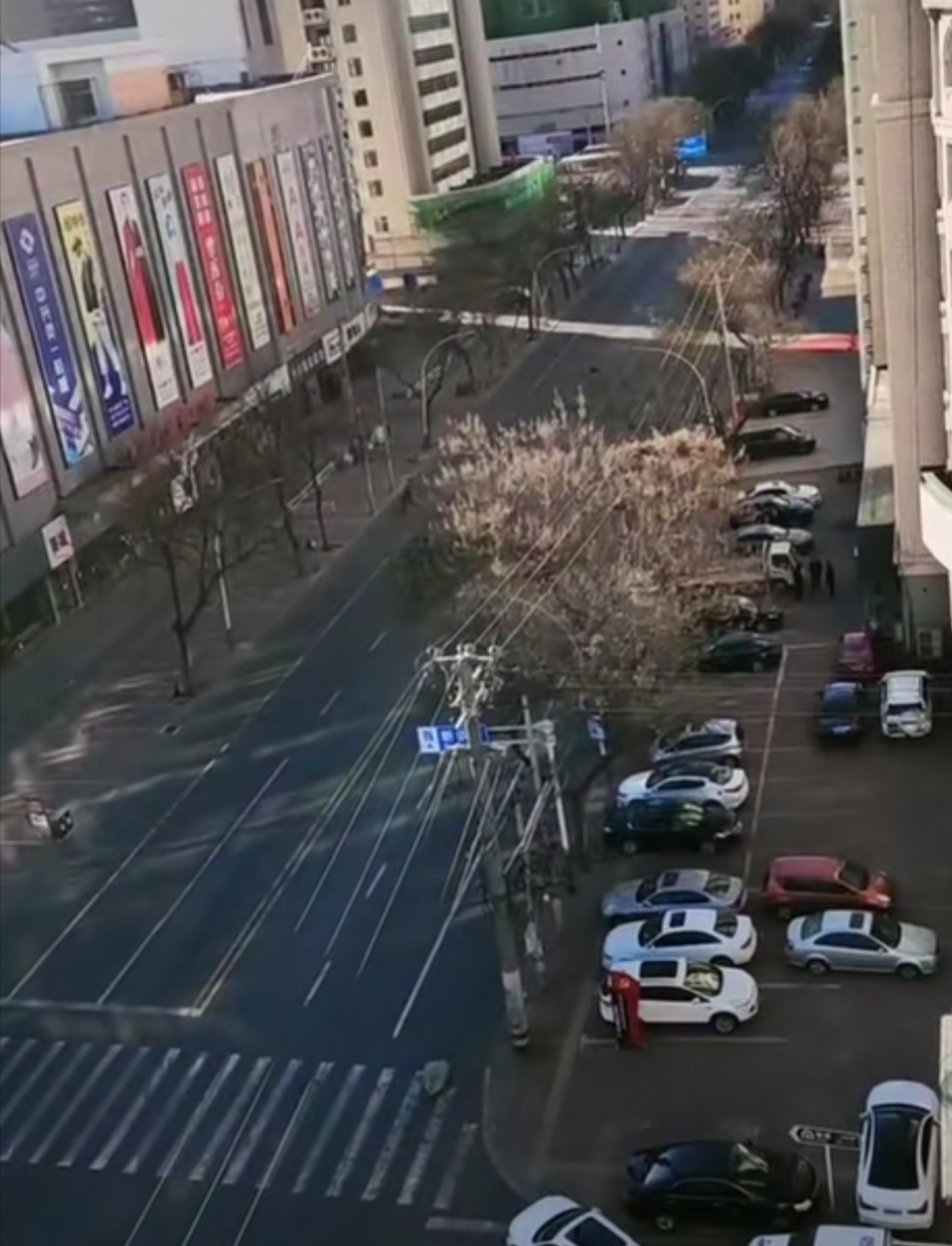 av成人app永久免费