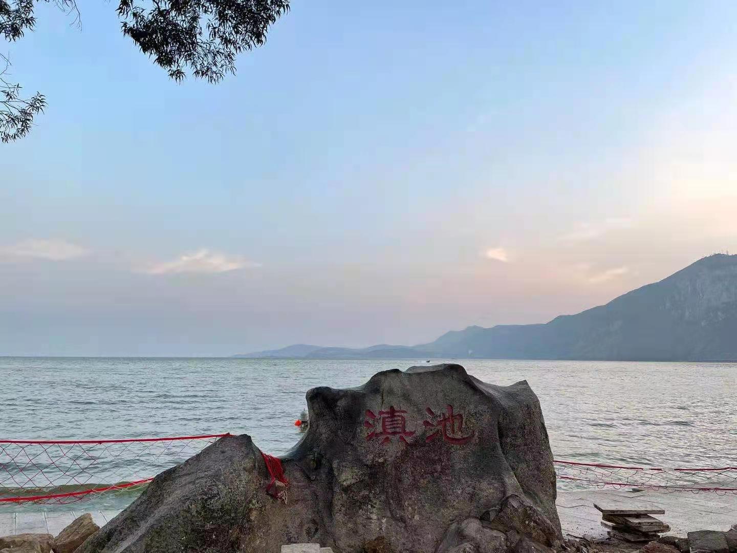 av成人app永久免费