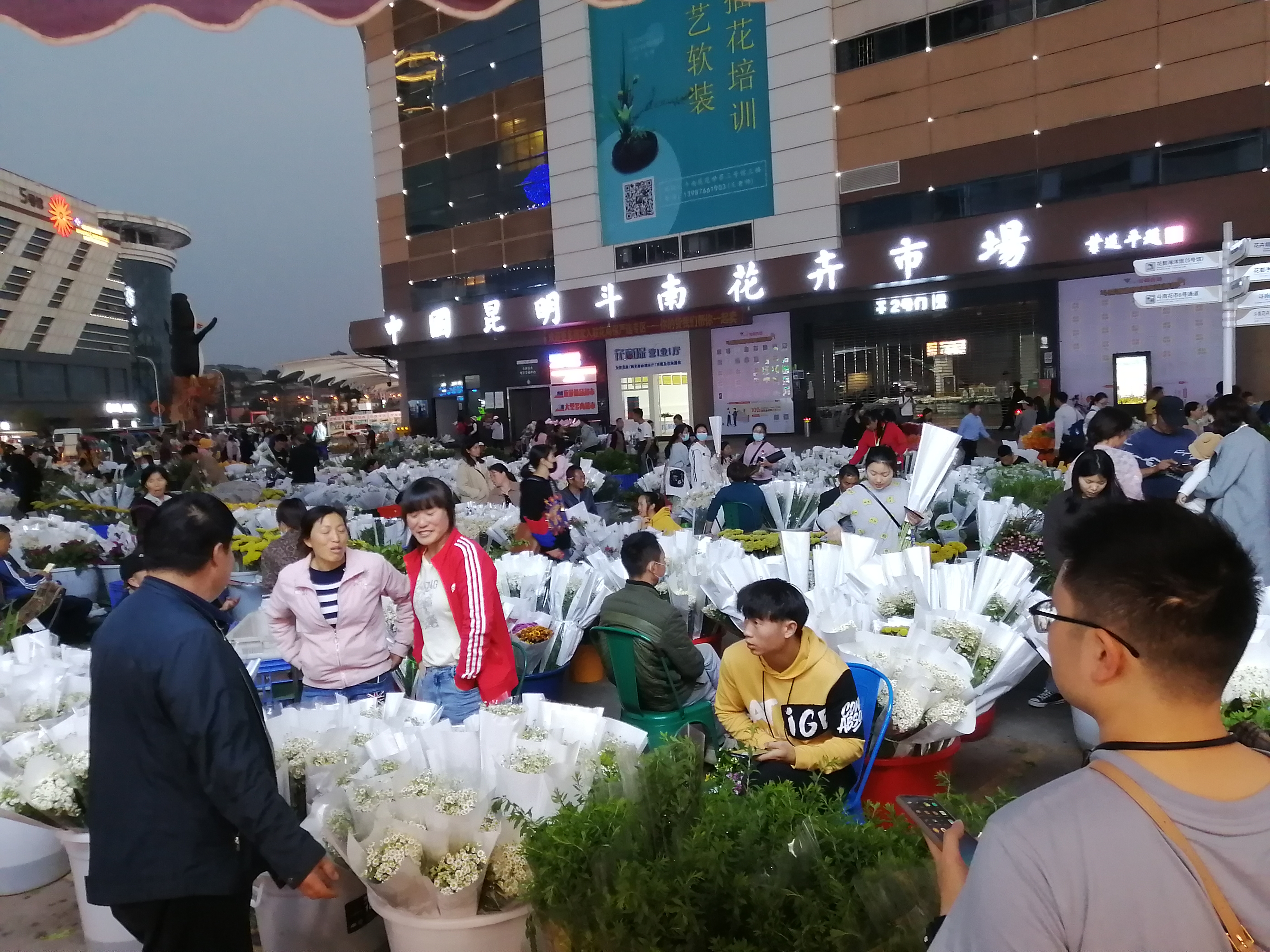 av成人app永久免费