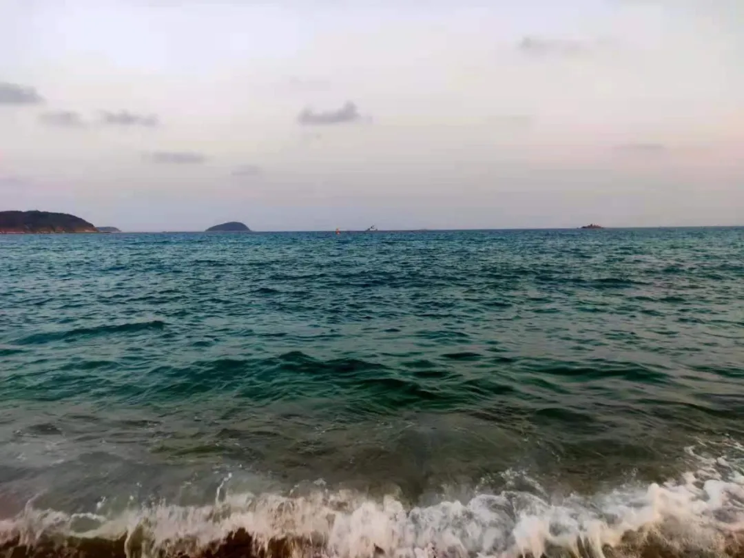 av成人app永久免费