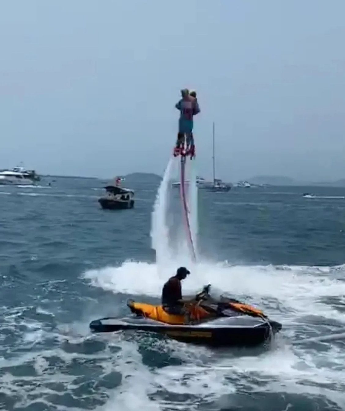 av成人app永久免费