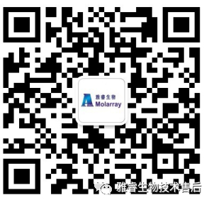 av成人app永久免费