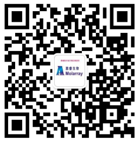av成人app永久免费