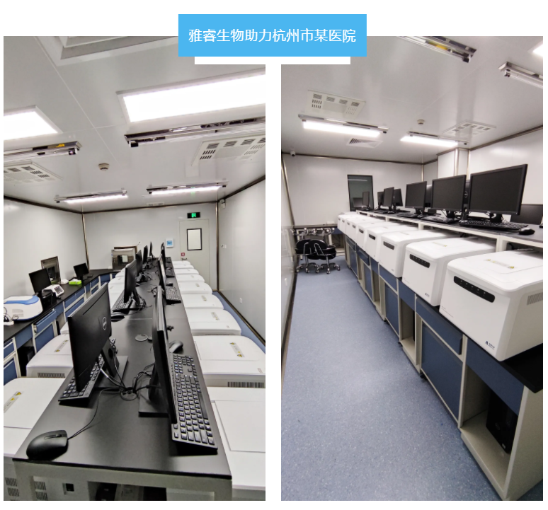 av成人app永久免费