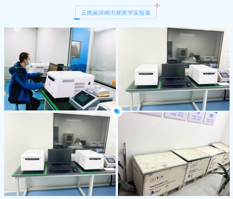 av成人app永久免费