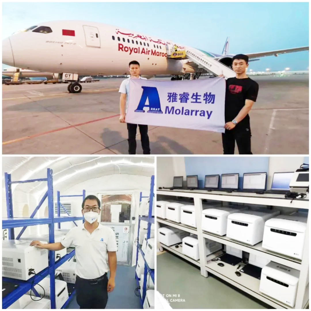 av成人app永久免费