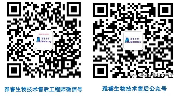 av成人app永久免费