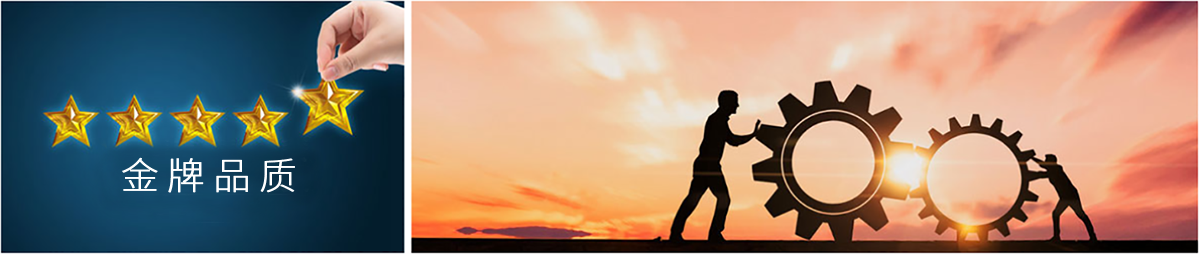 av成人app永久免费