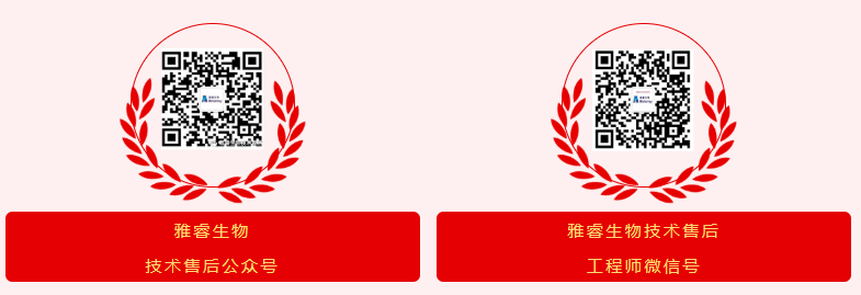 av成人app永久免费