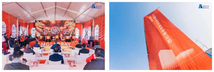 av成人app永久免费