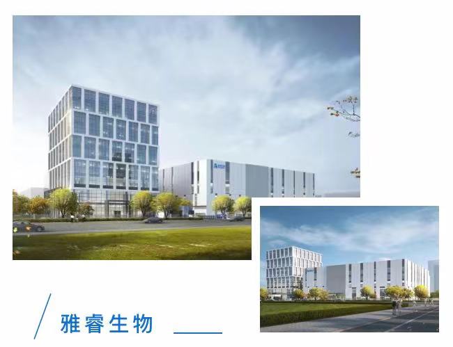 av成人app永久免费