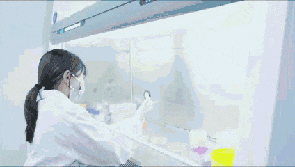 av成人app永久免费