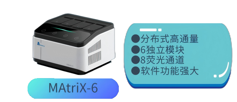 av成人app永久免费
